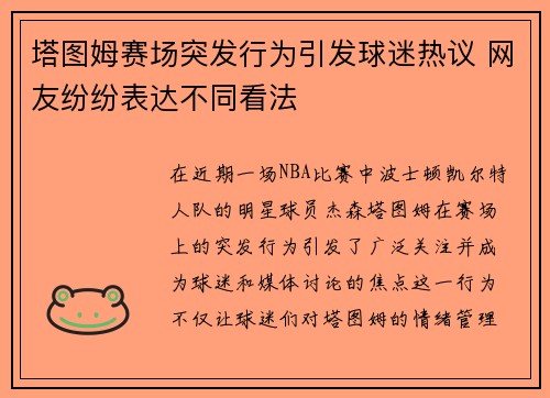 塔图姆赛场突发行为引发球迷热议 网友纷纷表达不同看法