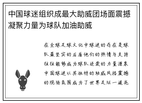 中国球迷组织成最大助威团场面震撼凝聚力量为球队加油助威